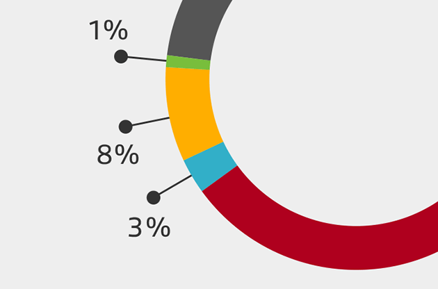 Rapport de gestion 2017